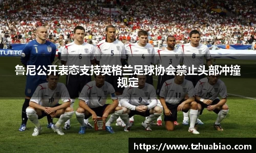 星空·综合体育官方网站