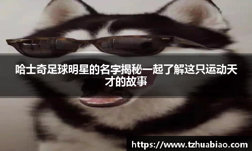 星空·综合体育中国官方网站