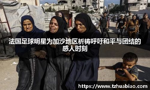 星空·综合体育官方网站