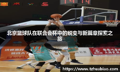 星空·综合体育官方网站