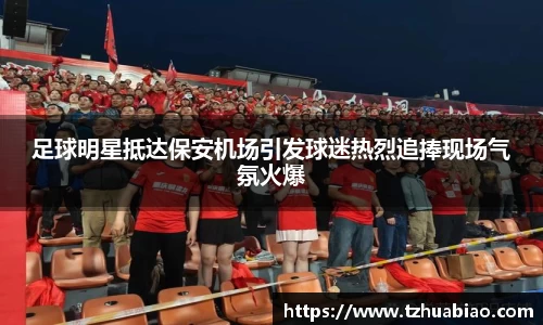 星空·综合体育中国官网